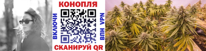Купить наркотик Завитинск Экстази Меф мяу мяу Бошки Шишки блэк спрут ONION Cocaine