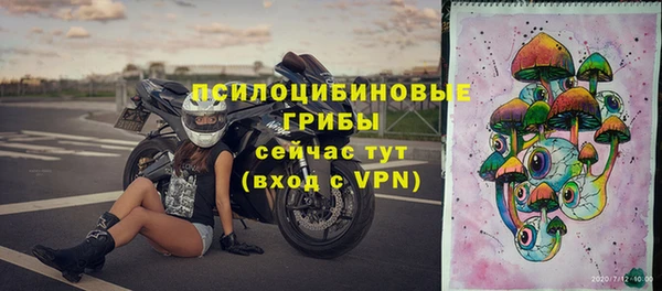 гидра Верея
