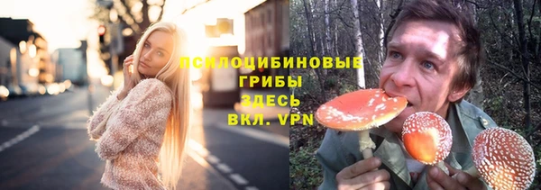 дмт Тавда