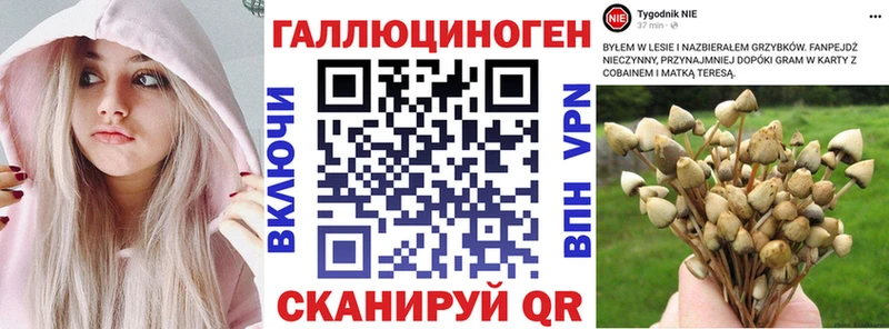 купить наркоту Завитинск Псилоцибиновые грибы Cubensis